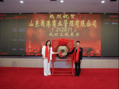 向具有全球合作力取国际影响力的分析办事集团